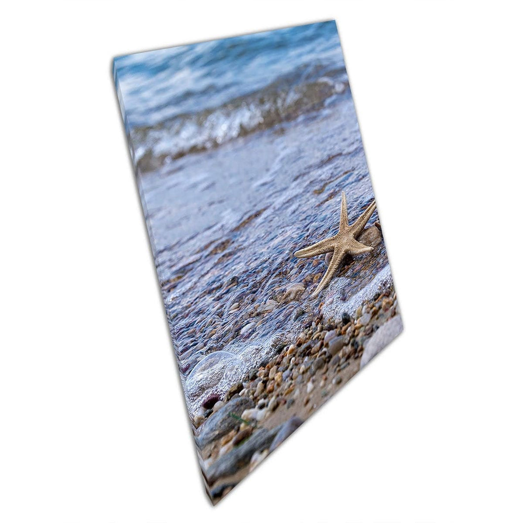 Starfish appoggiato sulla riva del mare di Rocky Pebble Beach Calmante ondate poco profonde Stampa di arte della parete della vita marina su tela di tela stampata