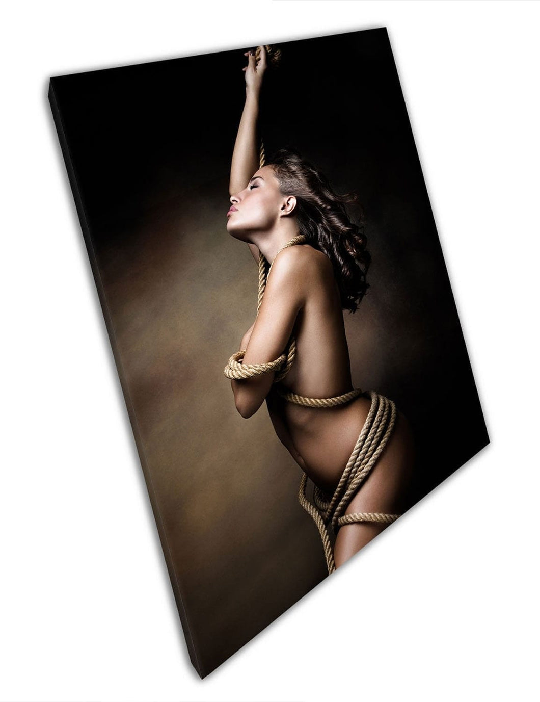 beautiful naked Lady wrapped in rope Woman Art Ready to Hang Canvas Wall Art Print Mounted Canvas print