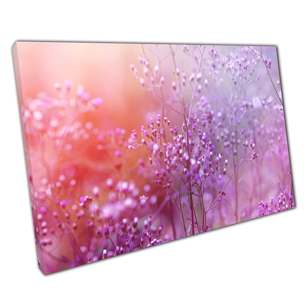 Grass Flower Meadow Blooming With A Romantic Purple Pink Toned Haze Flower Floral Wall Art Print On Canvas Mounted Canvas print