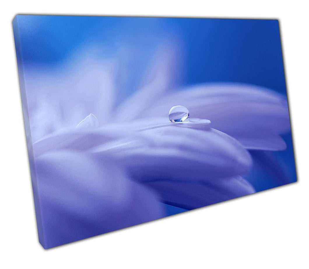 Print on Canvas Flower petal water drop wall art Ready to Hang Print Mounted Canvas print