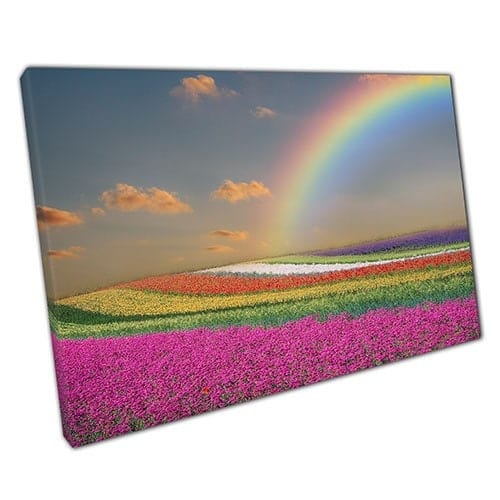Afdrukken op canvas regenboogveld en regenboog luchten lente klaar om muurwand te hangen afdrukken gemonteerde canvas print