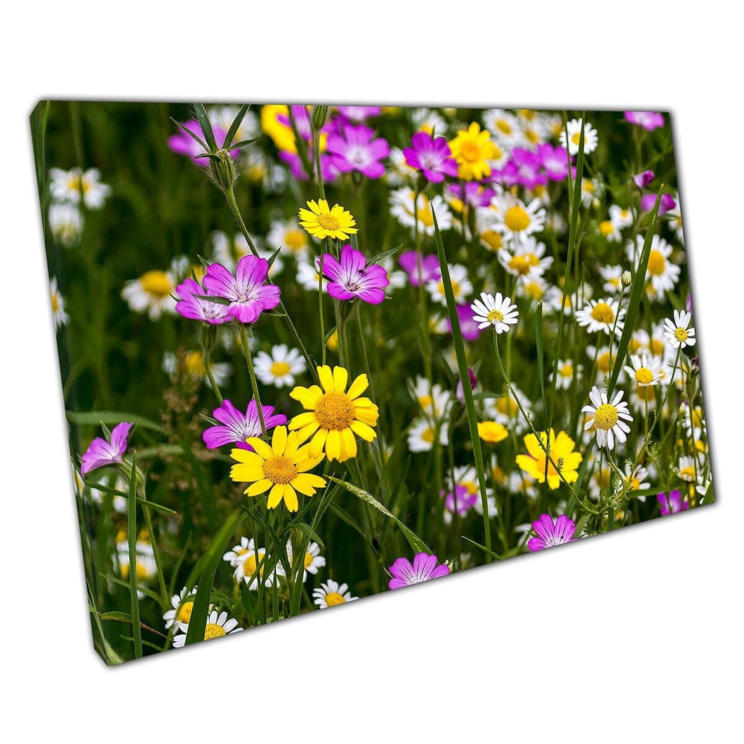 Geel paars wit gemengde bloemweide muurkunst print op canvas gemonteerde canvas print