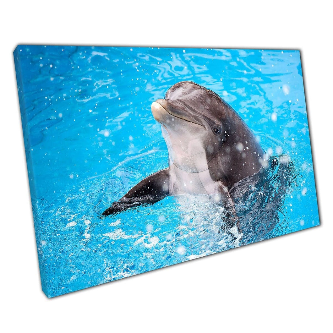 Dolfijn die het hoofd uit het water steekt om mensen te begroeten, schattig dieren leven fotografie Wall Art Print op canvas gemonteerde canvas print