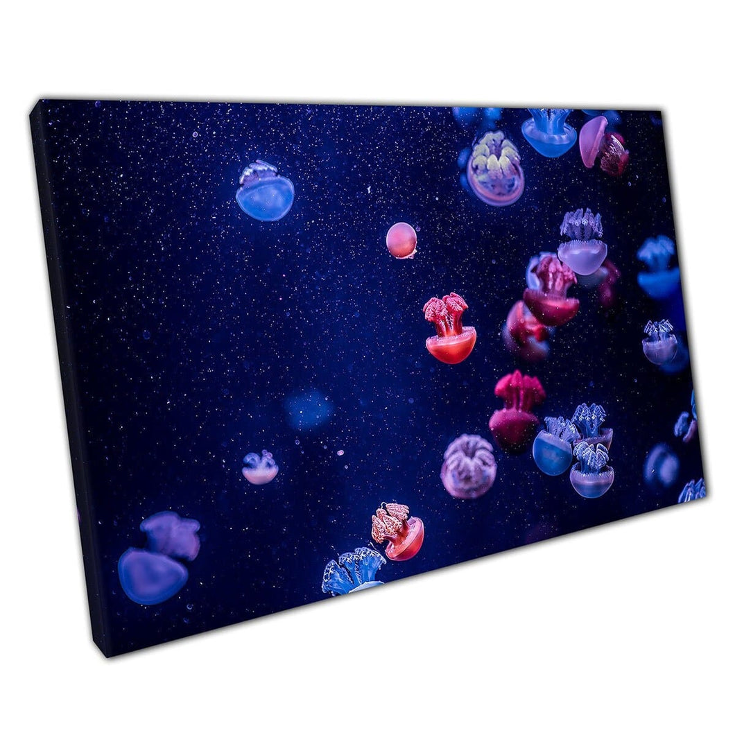 Orange Nettle Jellyfish Swimming Through The Water Dangerous Underwater Photography Wall Art Print On Canvas Mounted Canvas print