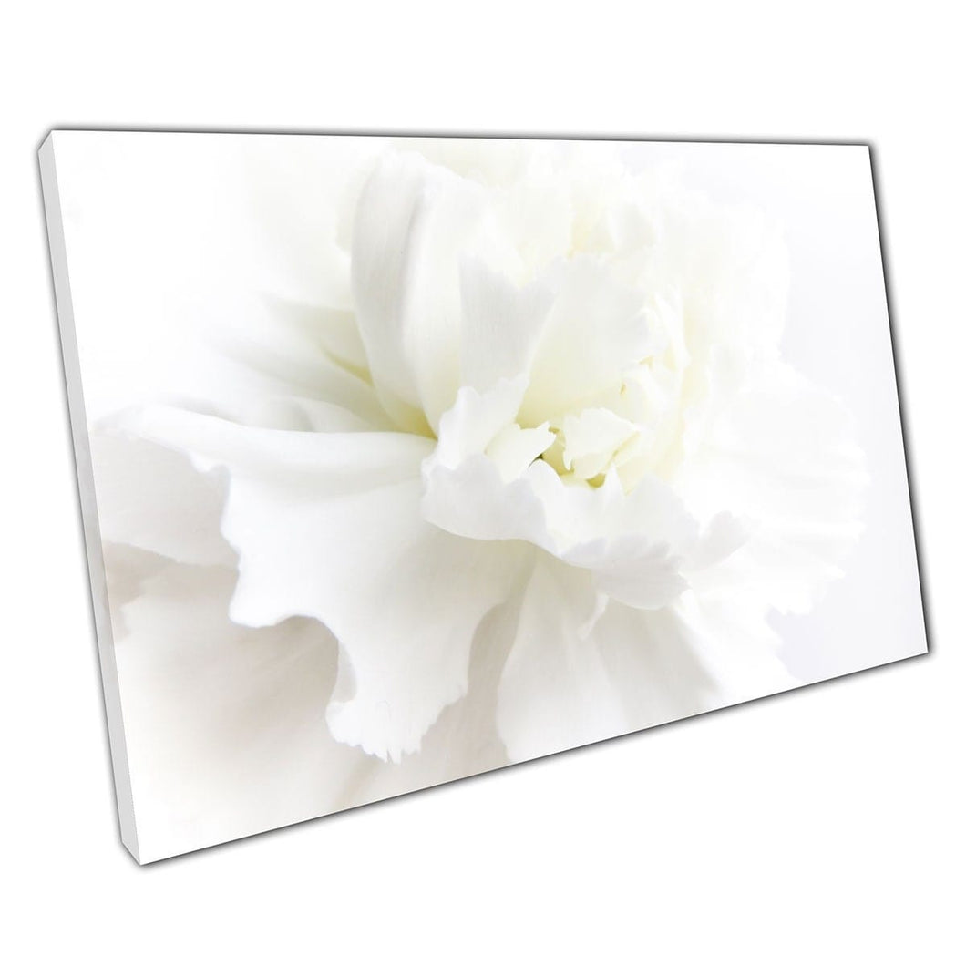 Mooie witte bloeiende bloem bloemblaadjes zachte dromerige bloemige natuur abstract fotografie muur kunst print op canvas gemonteerde canvas print
