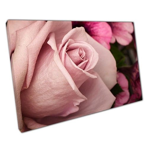 Print on Canvas Dusty Pink Rose Ready to Hang Wall Art Print Mounted Canvas print