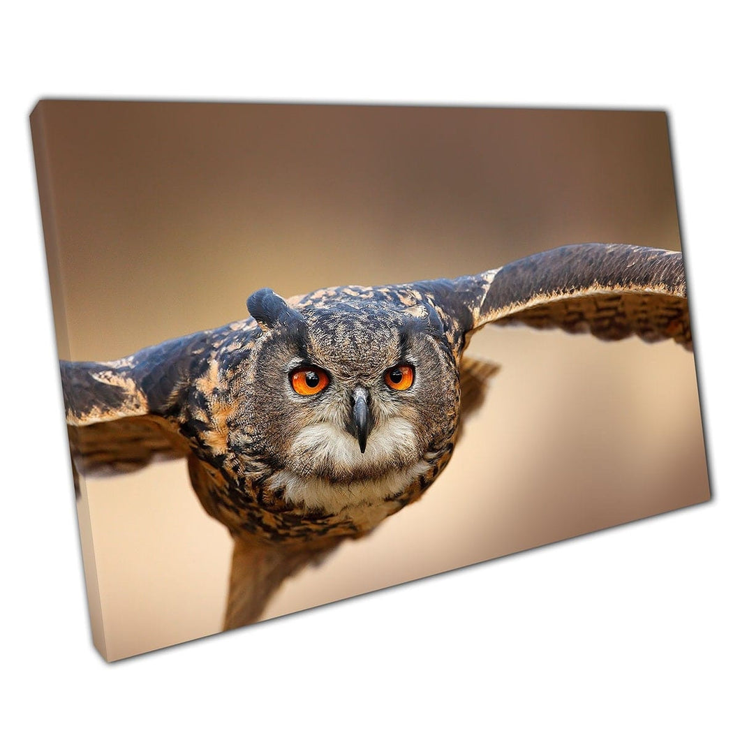 EURASIAN EAGLE OWL Glijdend door de luchtvleugels Spread Grassy Meadow Noorwegen Wall Art Print op canvas gemonteerde canvas print