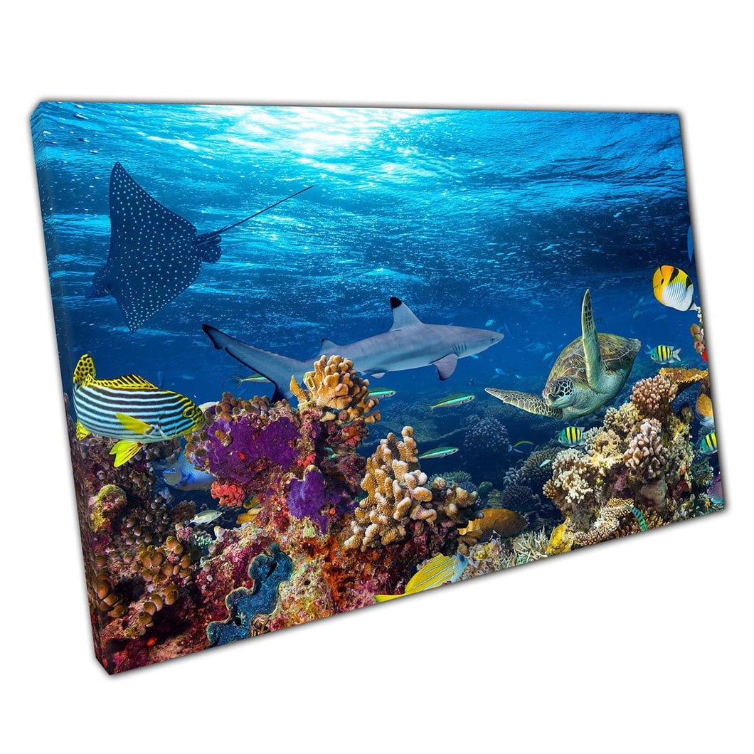 Druk koraalrif gevuld met zeeleven haaien stok straal tropische vissen zeeschildpad oceaan muur kunst print op canvas gemonteerde canvas print
