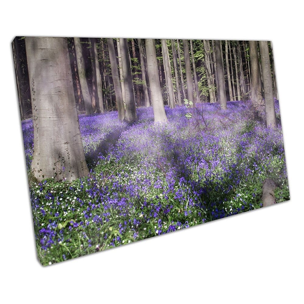 Blooming Meadows Forest of Purple Bluebells klaar om muurwand te hangen, afdrukken canvas print