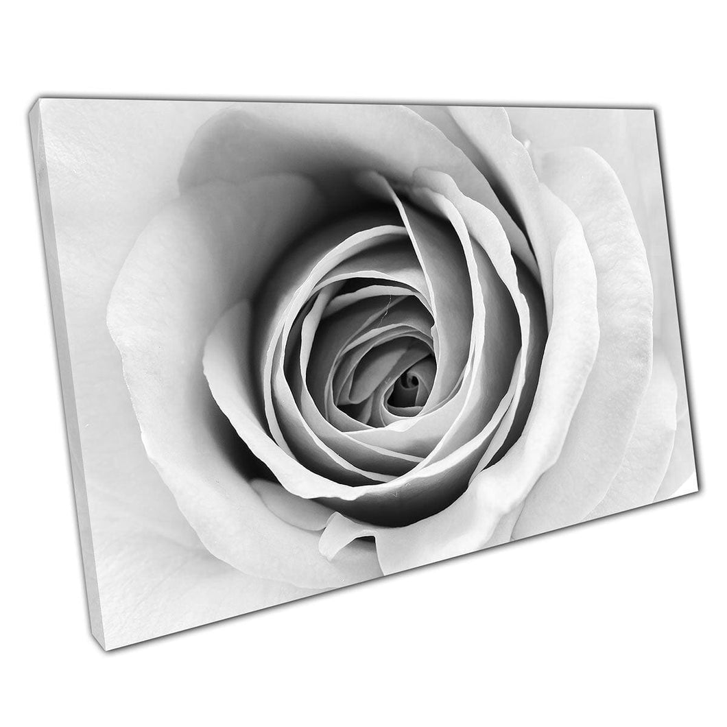 Zwart -wit delicate roos en bloembladen canvas muurkunst print op canvas gemonteerde canvas print