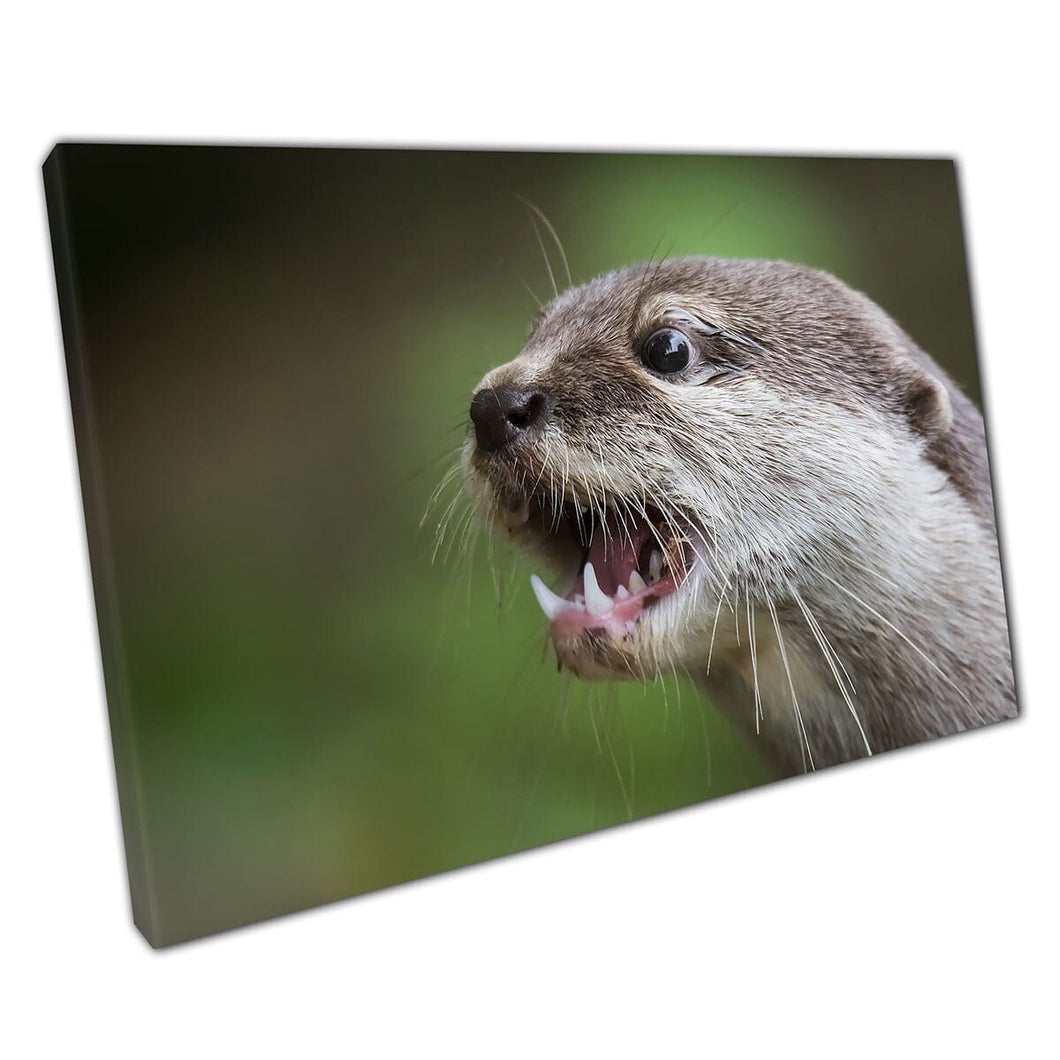 Otter trekt een grappig gezicht schattige kleine dierenfotografie muurkunst print op canvas gemonteerde canvas print