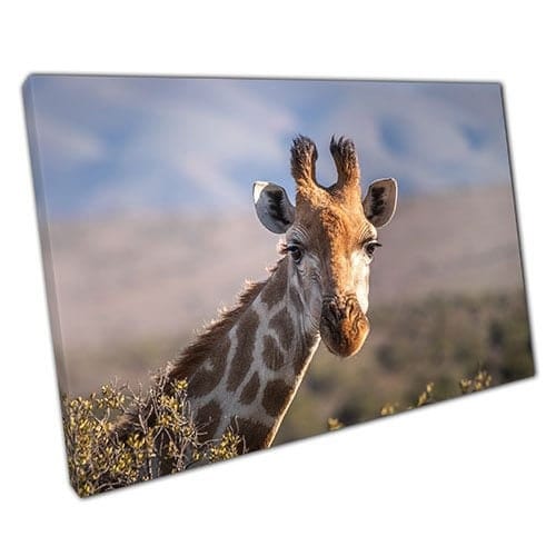 Print on Canvas Giraffe Animal Art Ready to Hang Wall Art Print Mounted Canvas print